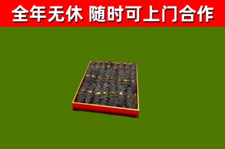 南靖回收海参